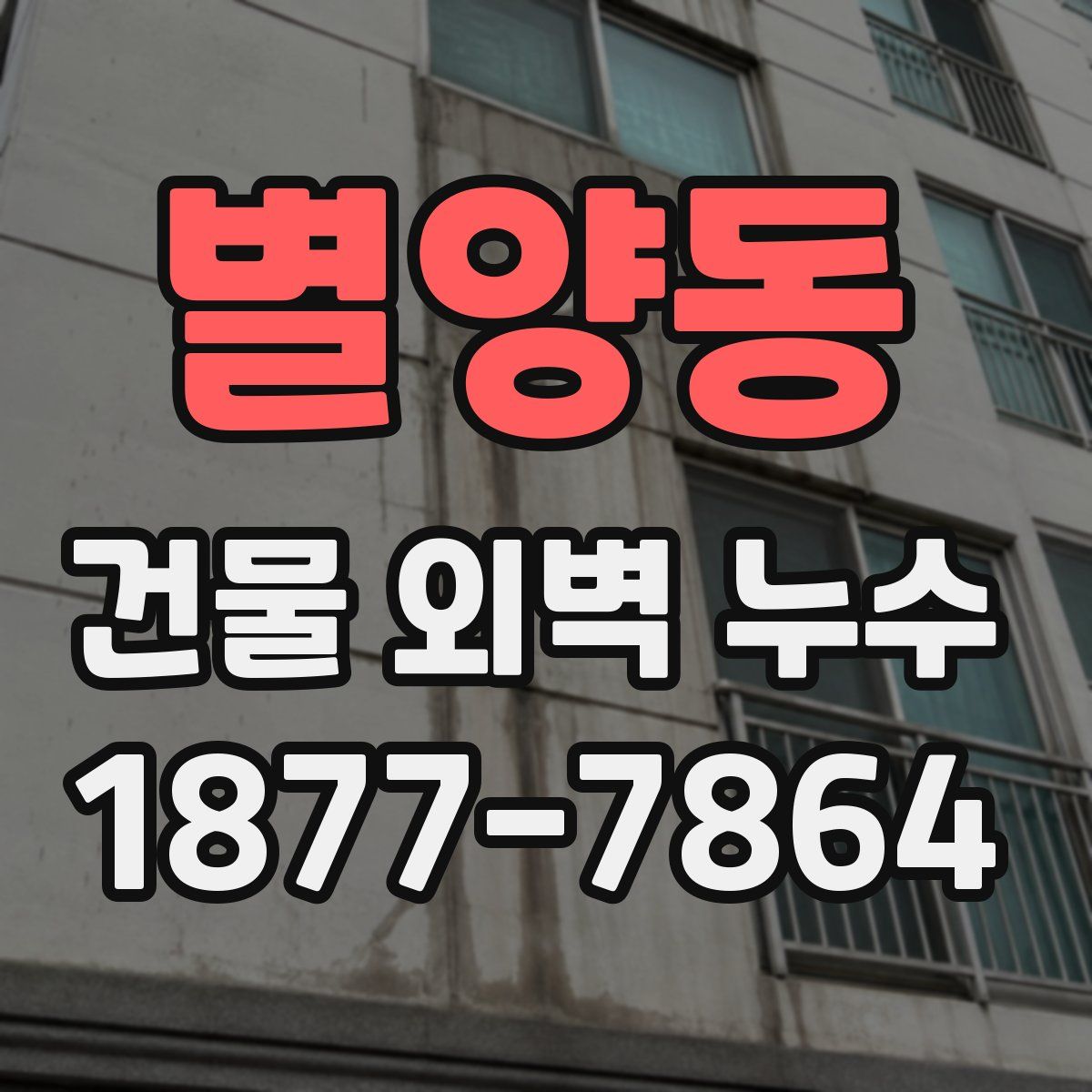 별양동 건물 외벽 누수