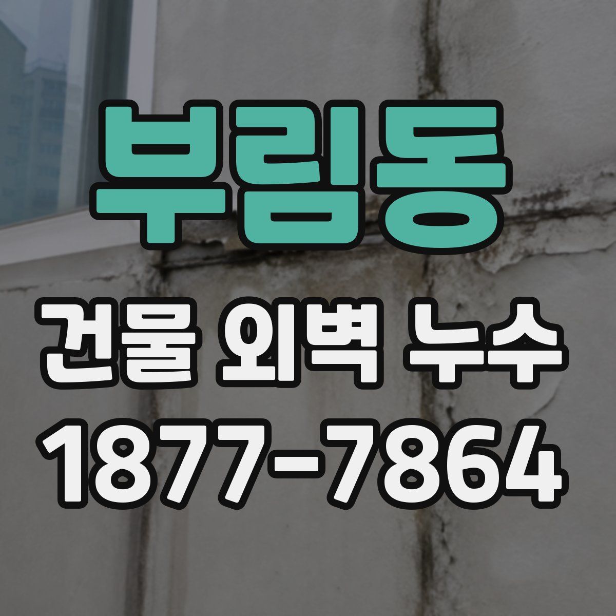 부림동 건물 외벽 누수