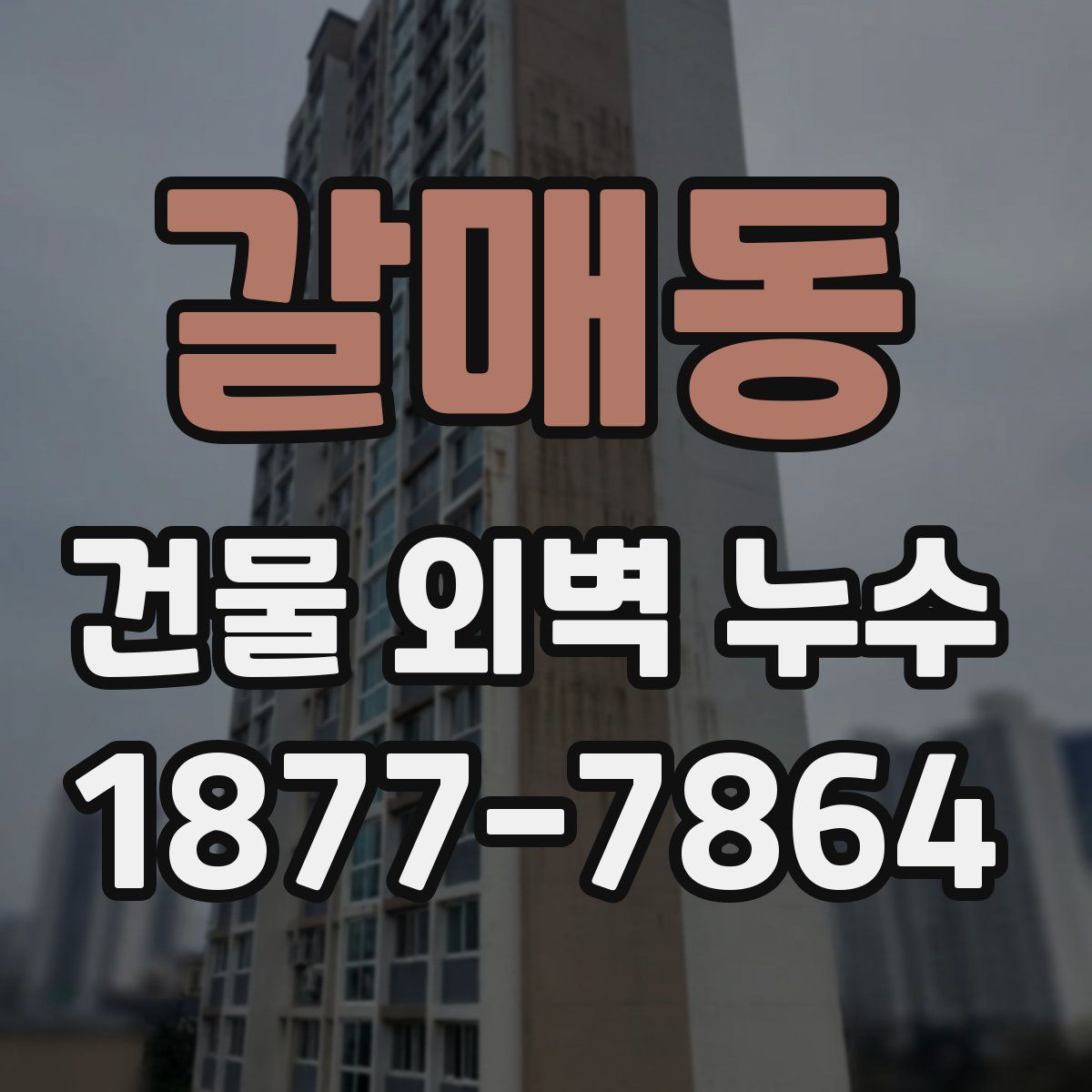 갈매동 건물 외벽 누수