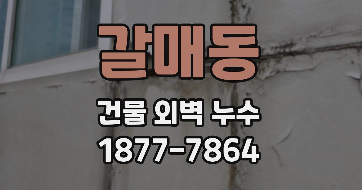 갈매동 건물 외벽 누수