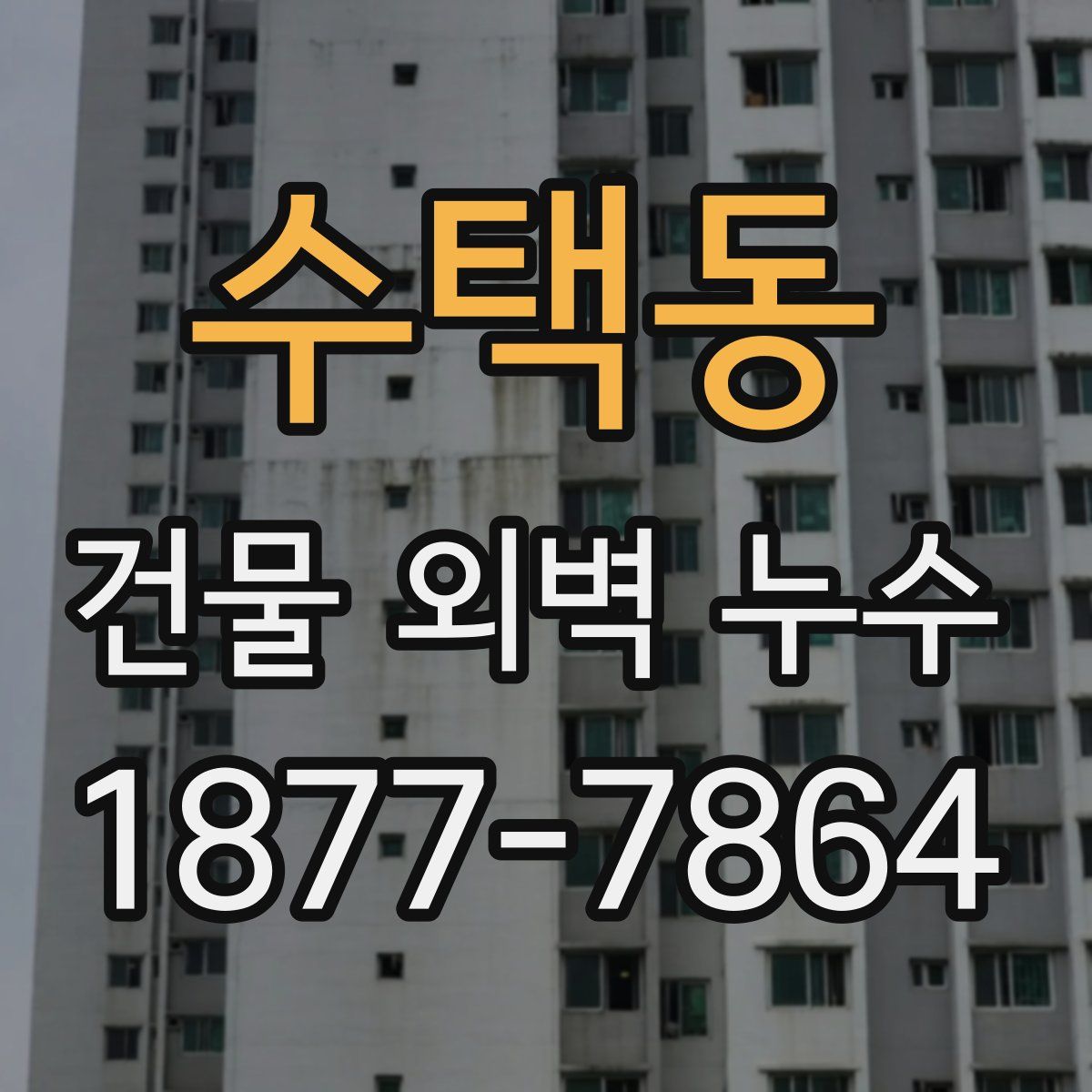 수택동 건물 외벽 누수