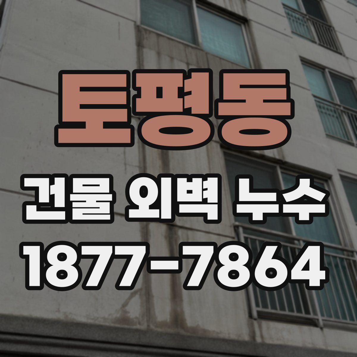 토평동 건물 외벽 누수