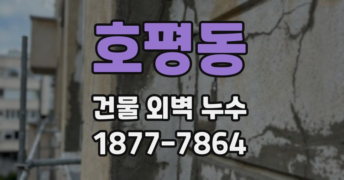 호평동 건물 외벽 누수