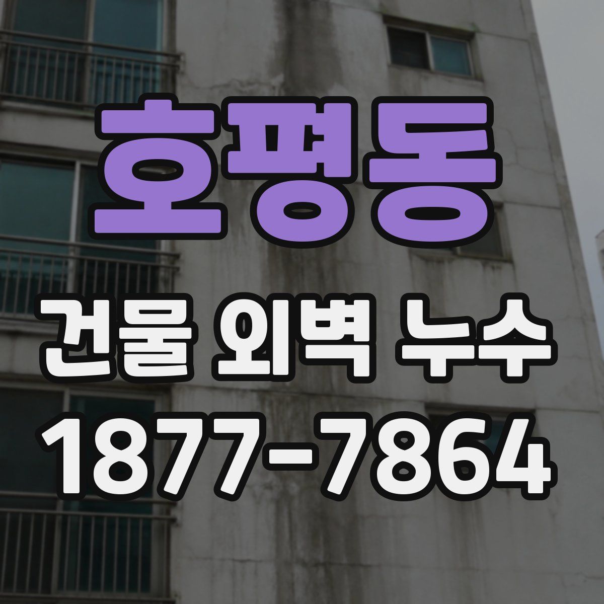 호평동 건물 외벽 누수