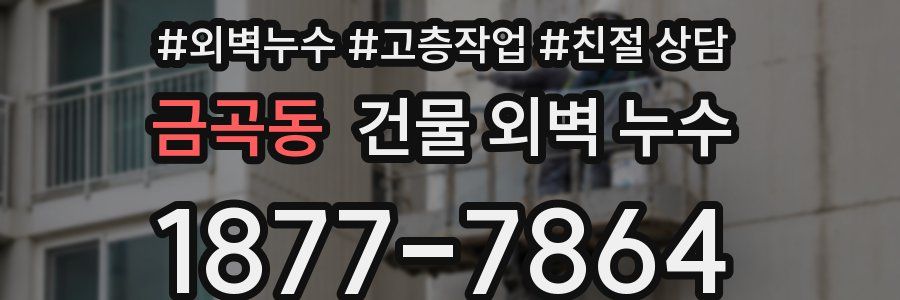 금곡동 건물 외벽 누수