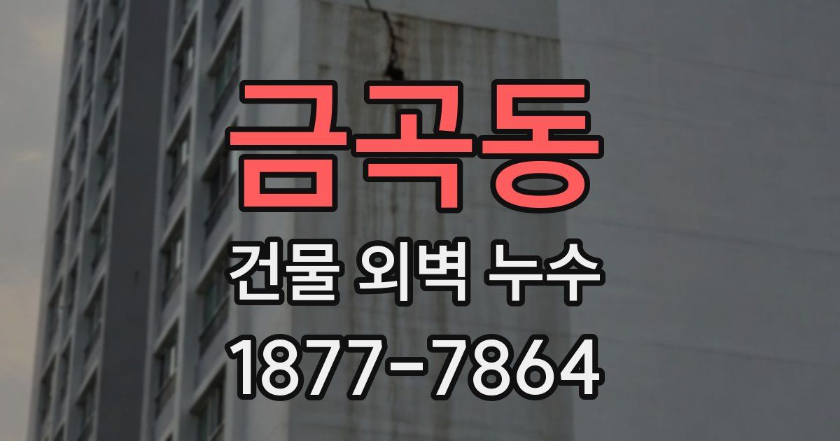 금곡동 건물 외벽 누수