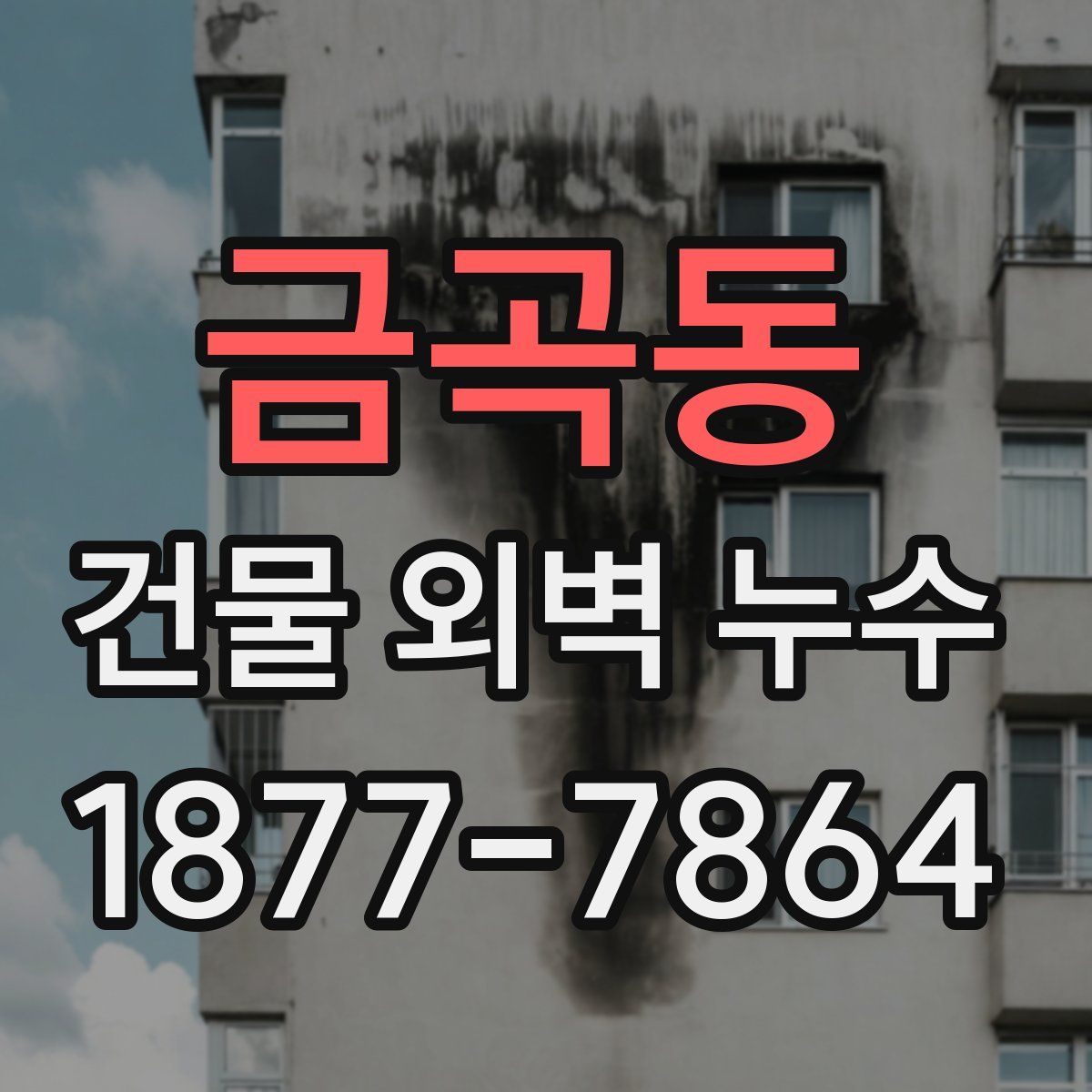 금곡동 건물 외벽 누수