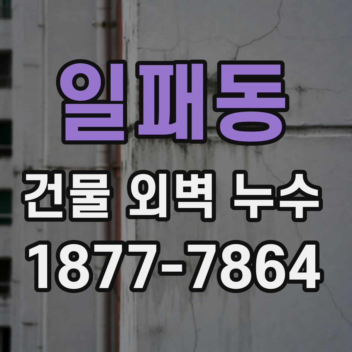 일패동 건물 외벽 누수