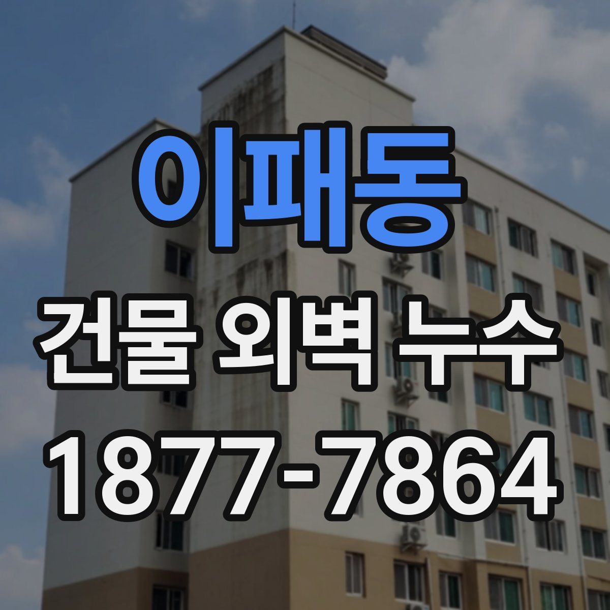 이패동 건물 외벽 누수