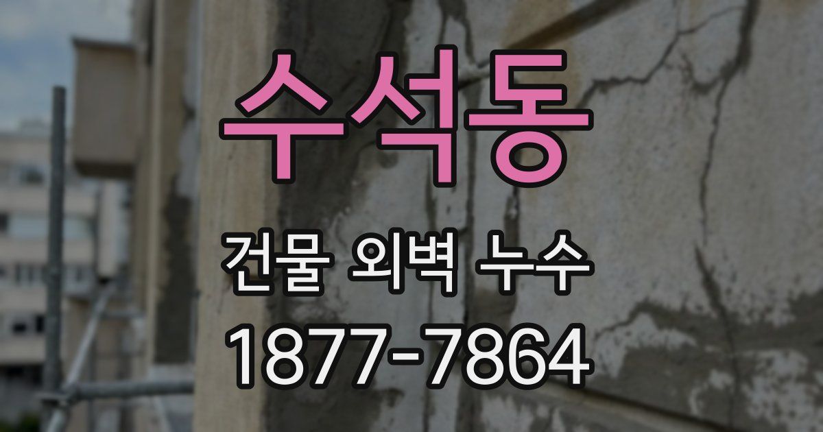 수석동 건물 외벽 누수