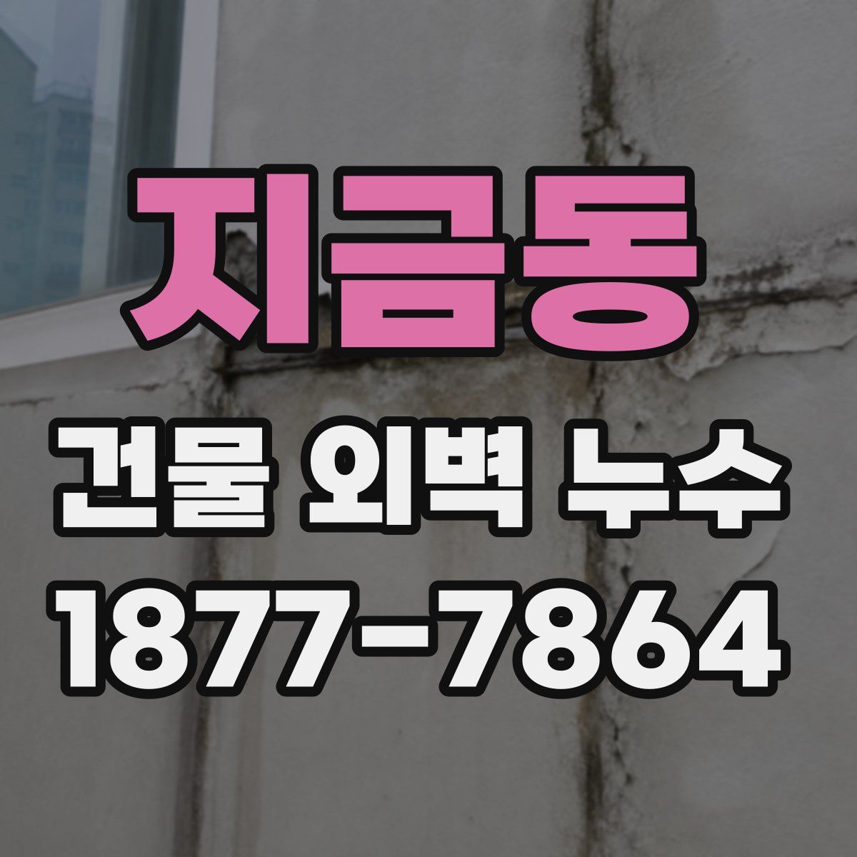 지금동 건물 외벽 누수