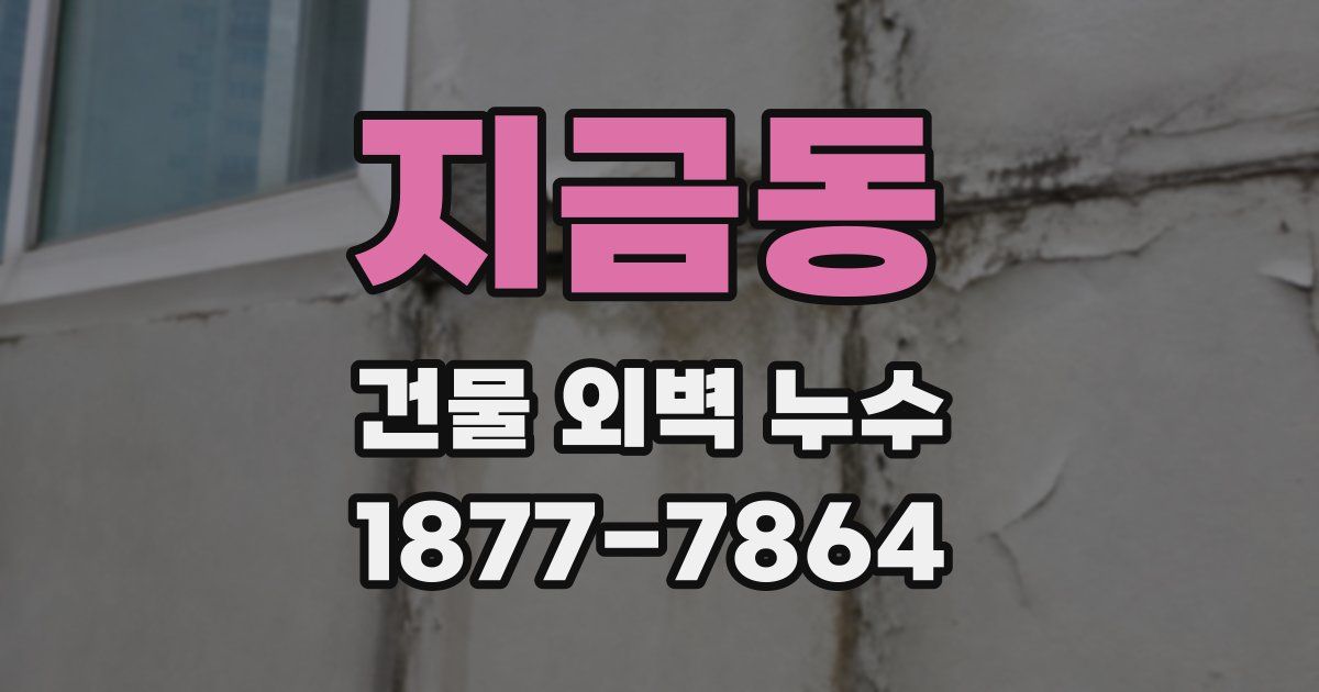 지금동 건물 외벽 누수