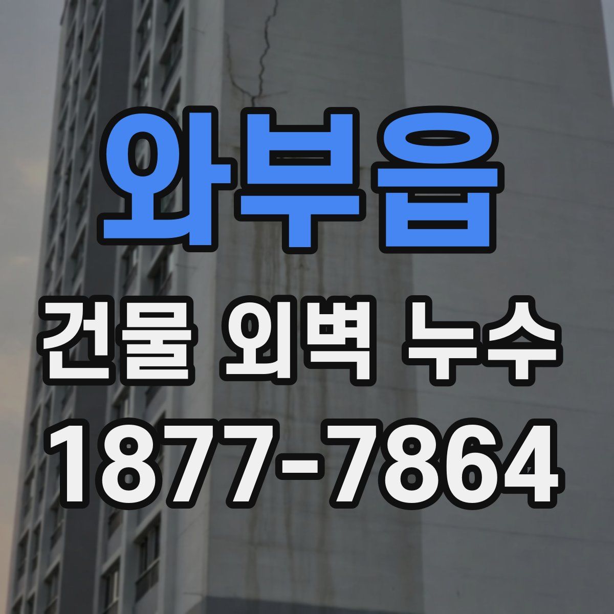 와부읍 건물 외벽 누수