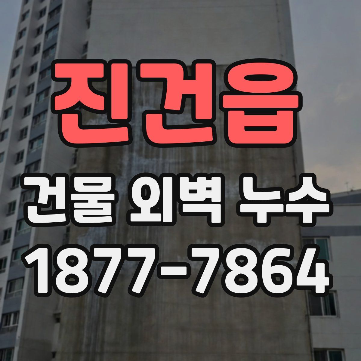 진건읍 건물 외벽 누수