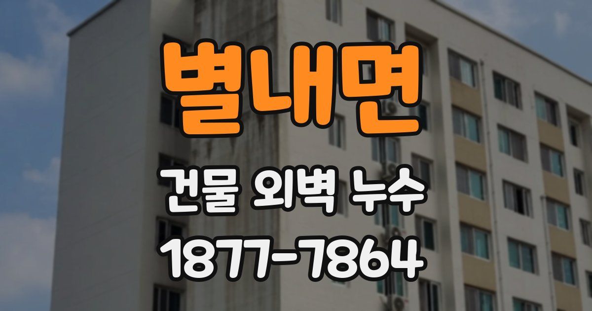 별내면 건물 외벽 누수