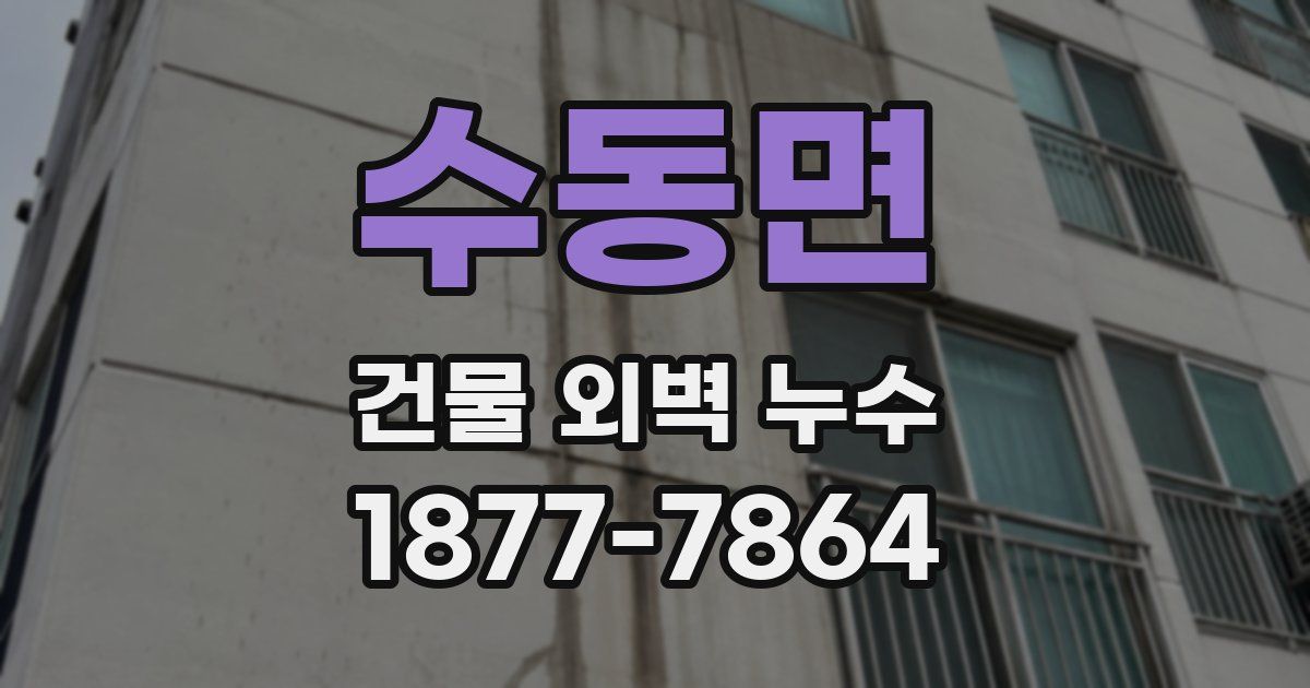 수동면 건물 외벽 누수