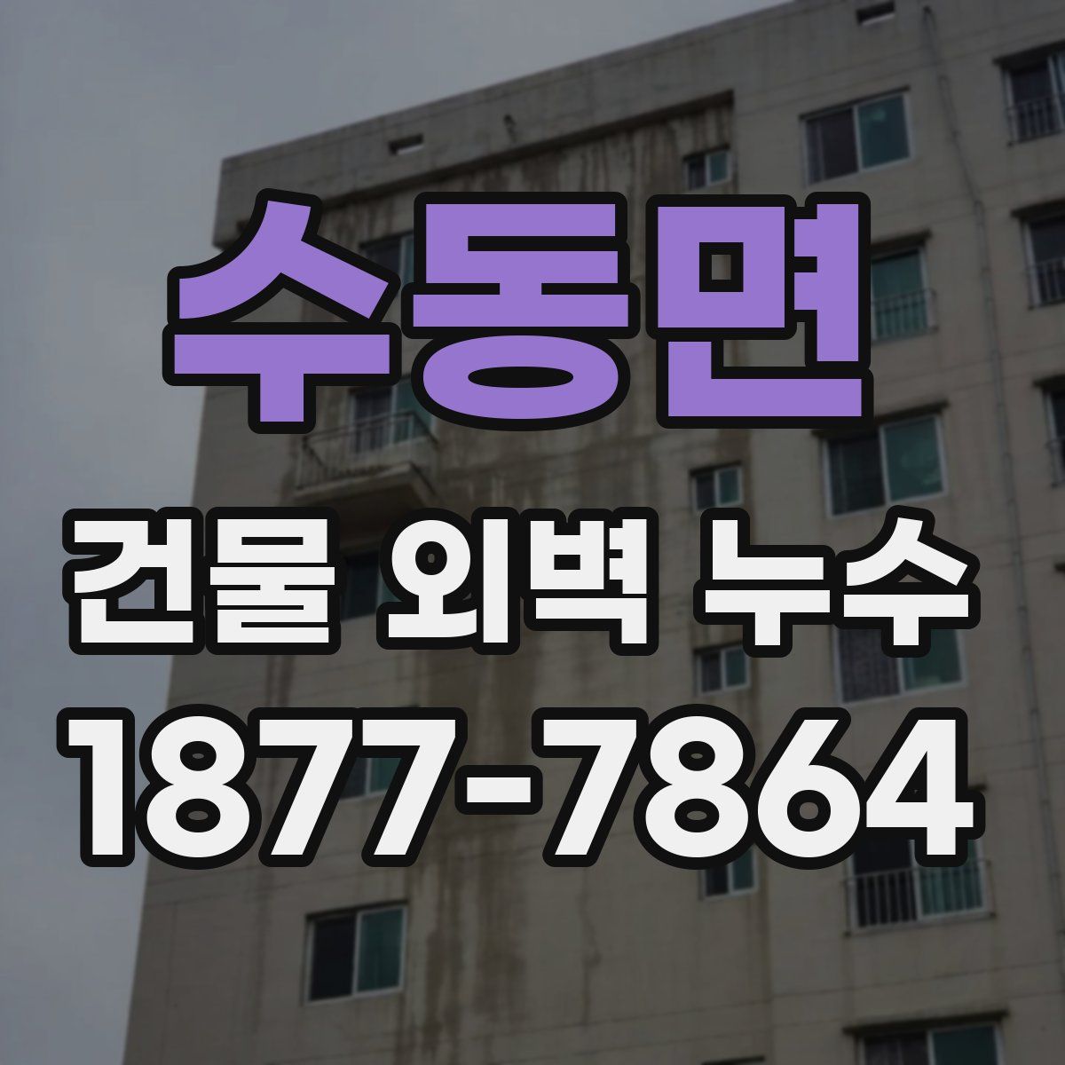 수동면 건물 외벽 누수