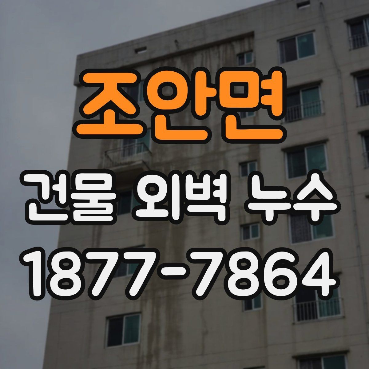 조안면 건물 외벽 누수 문제를 줄이는 사전 점검 방법