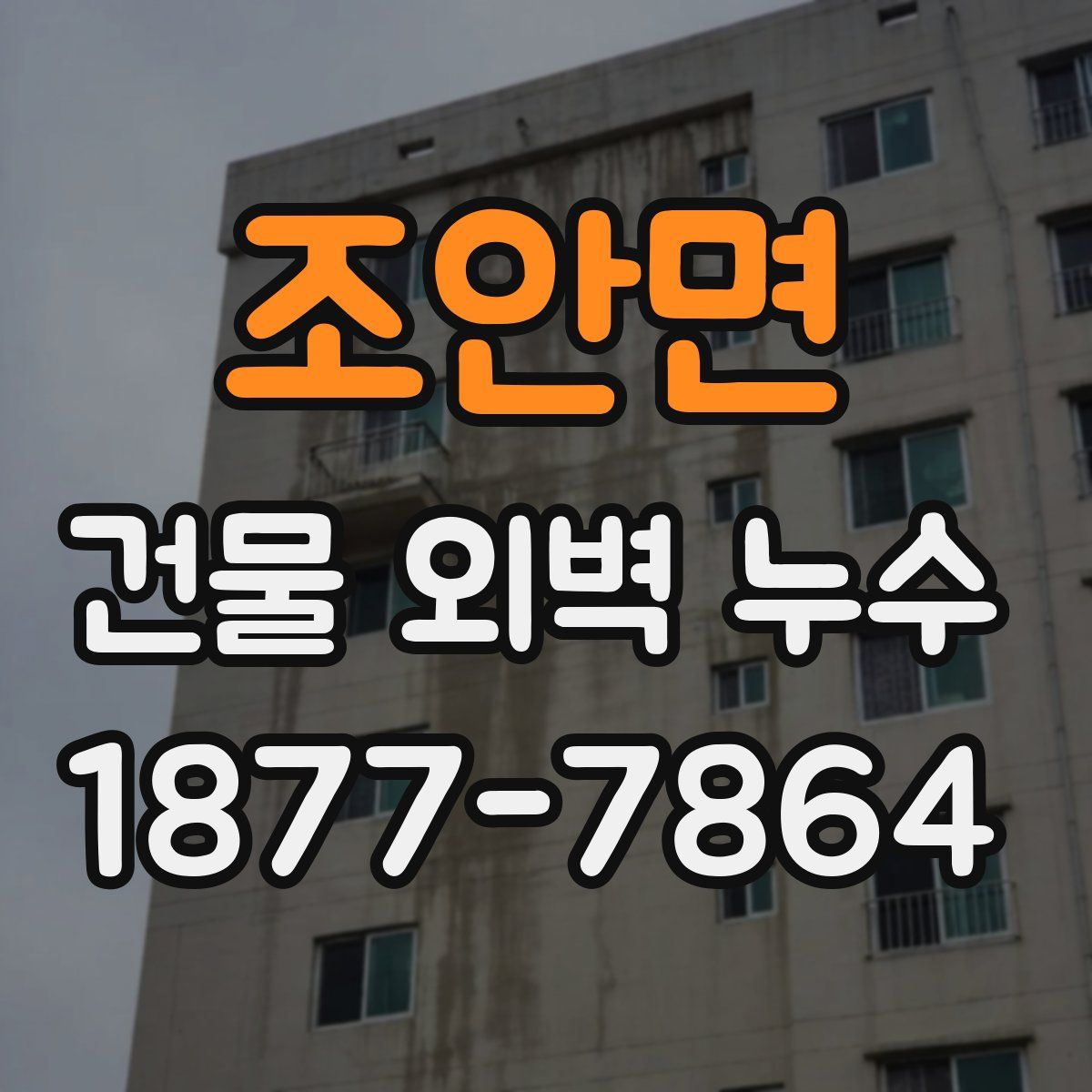 조안면 건물 외벽 누수