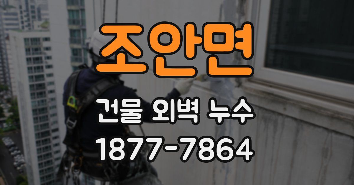 조안면 건물 외벽 누수