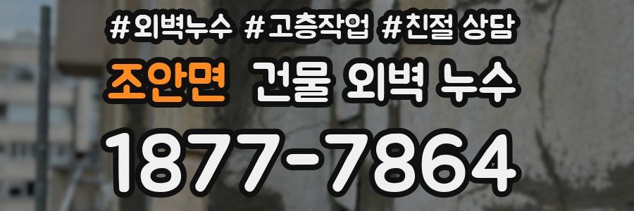 조안면 건물 외벽 누수