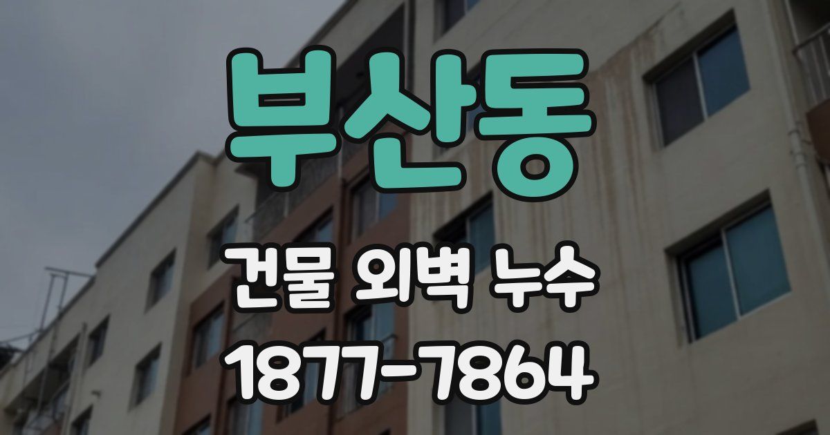 부산동 건물 외벽 누수