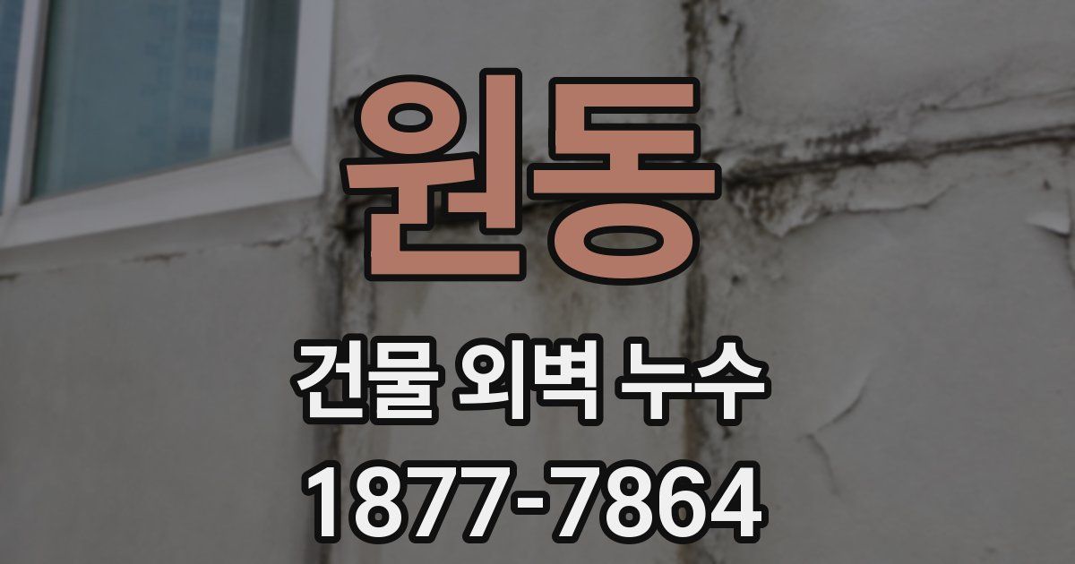 원동 건물 외벽 누수
