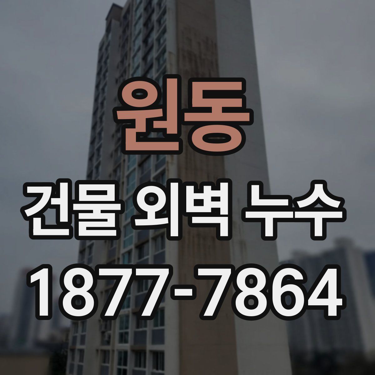 원동 건물 외벽 누수