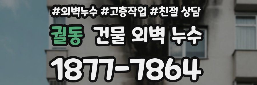 궐동 건물 외벽 누수