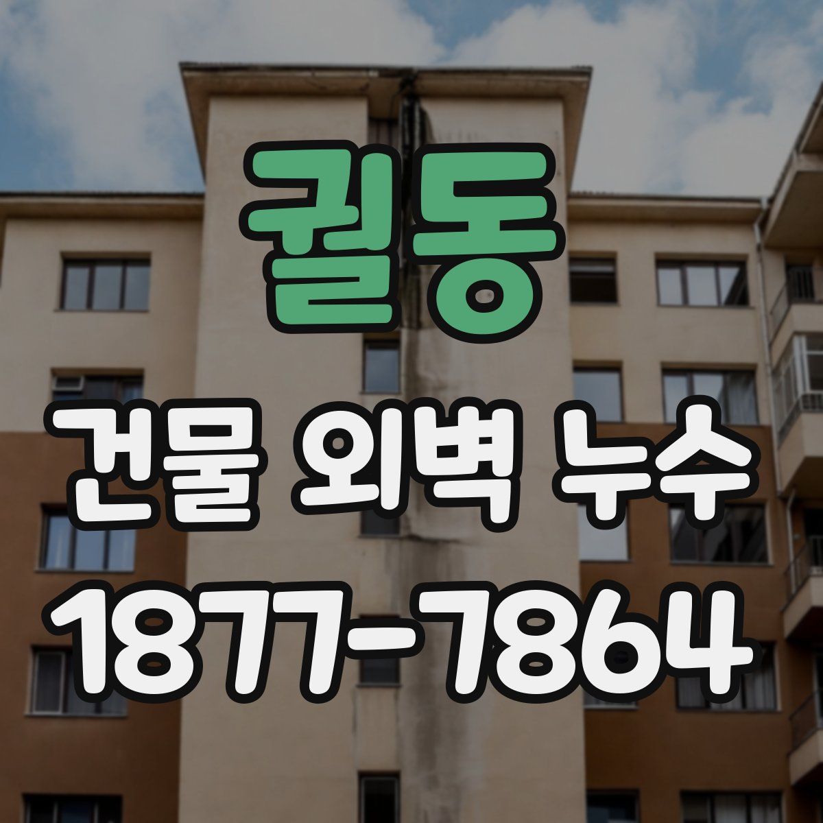 궐동 건물 외벽 누수