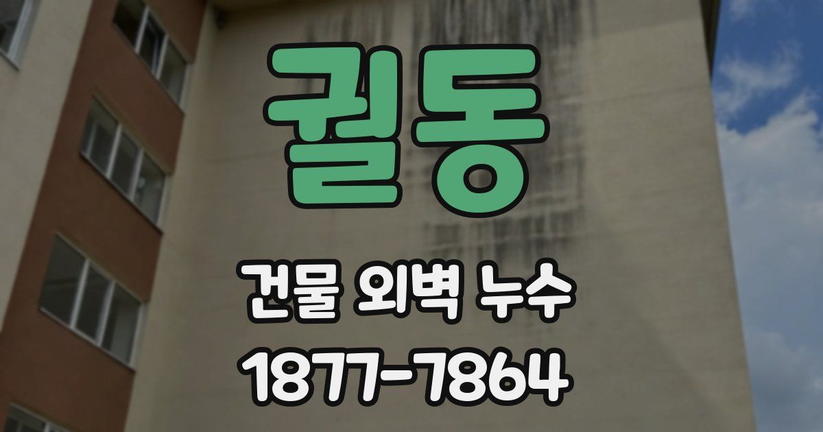 궐동 건물 외벽 누수