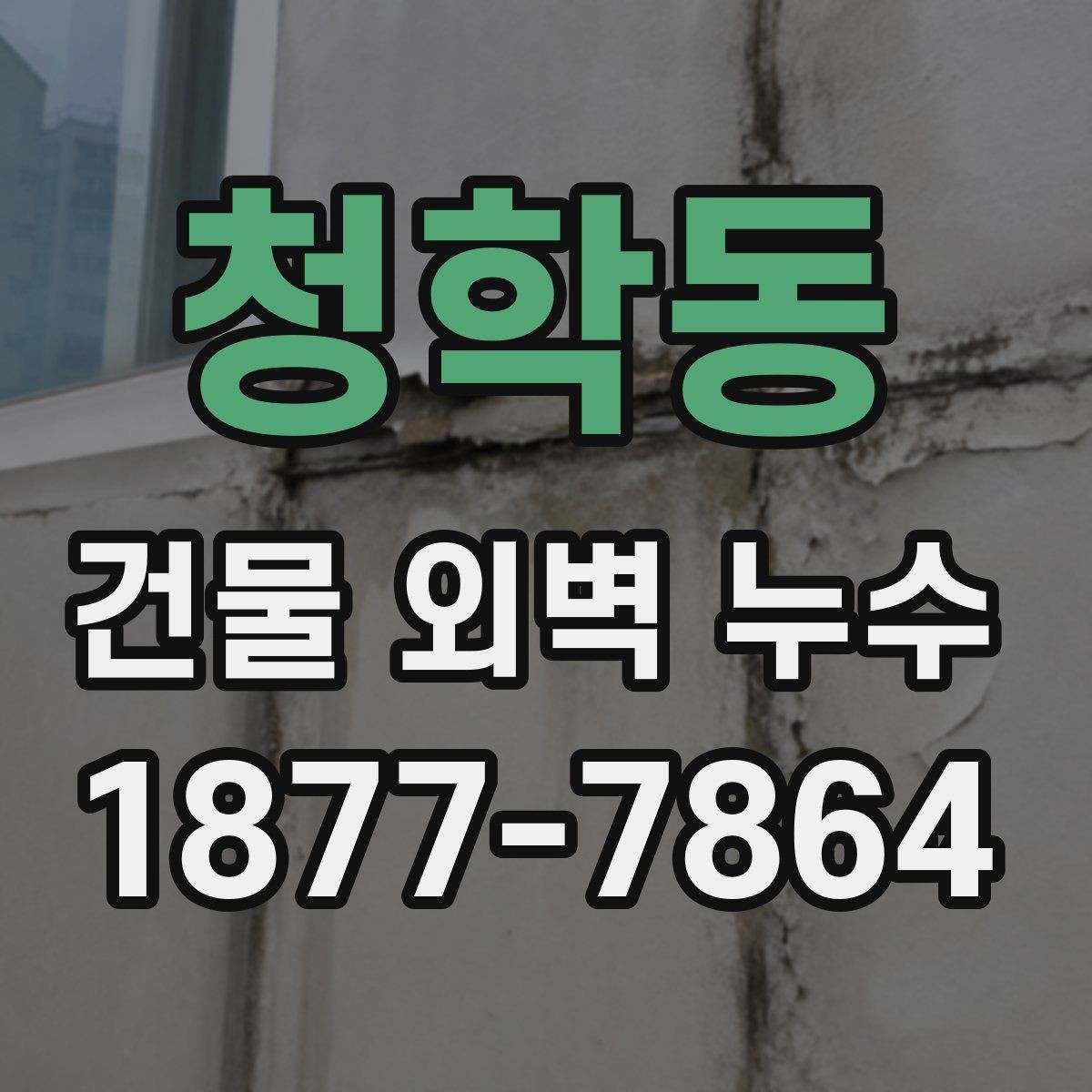 청학동 건물 외벽 누수 공사 방식 선택 기준