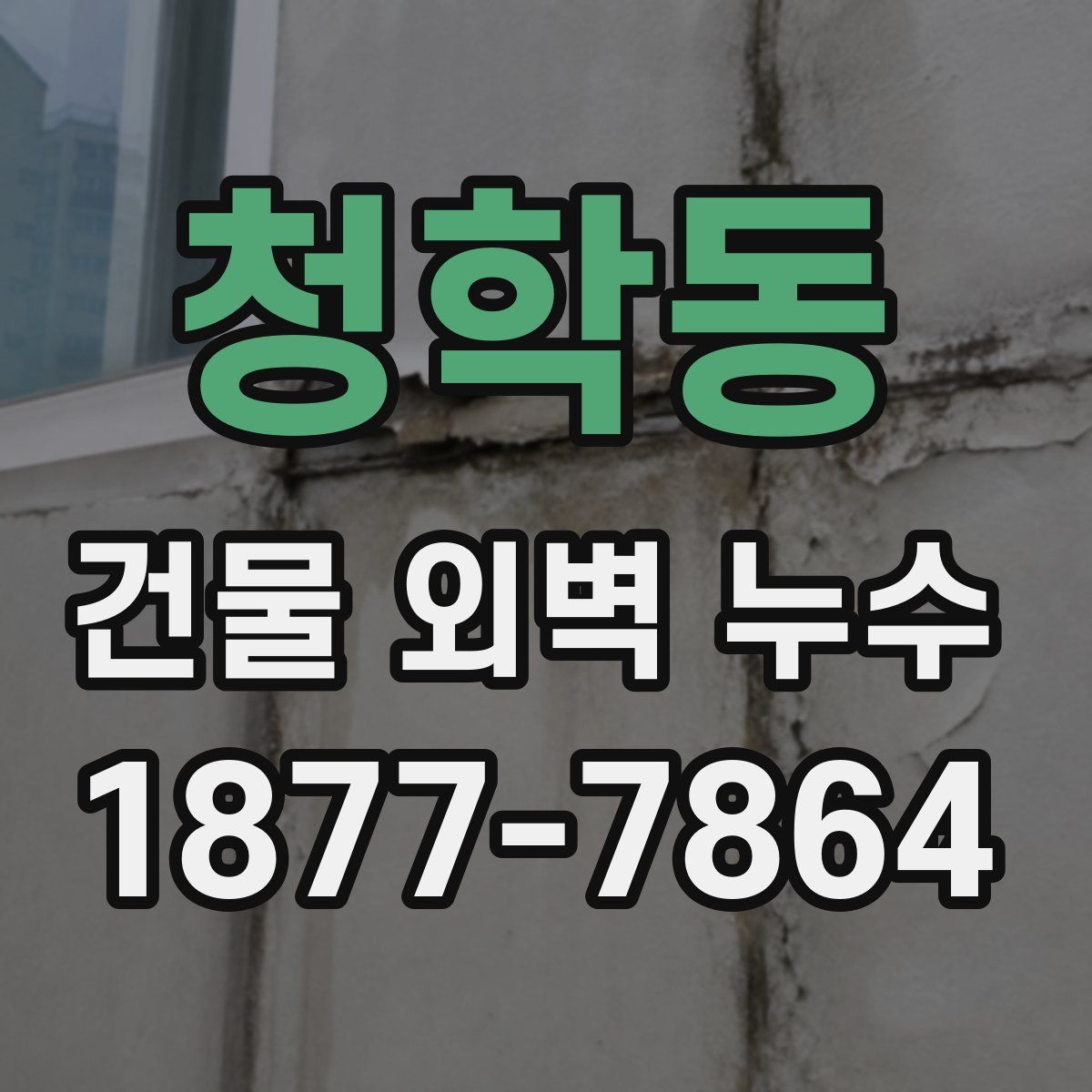 청학동 건물 외벽 누수