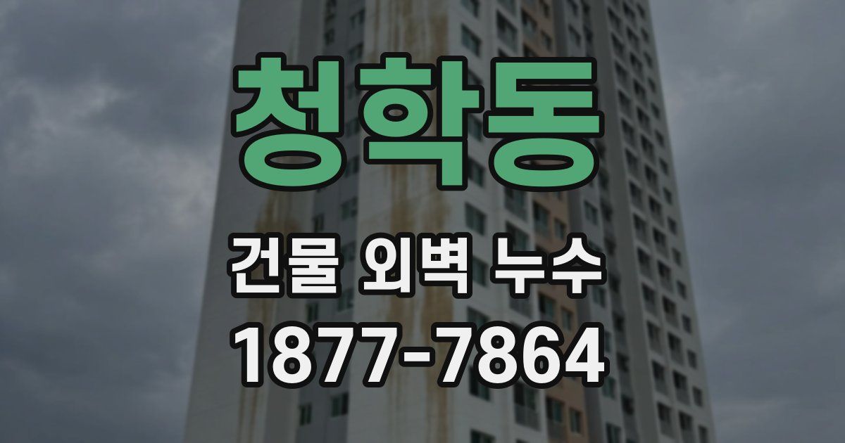 청학동 건물 외벽 누수
