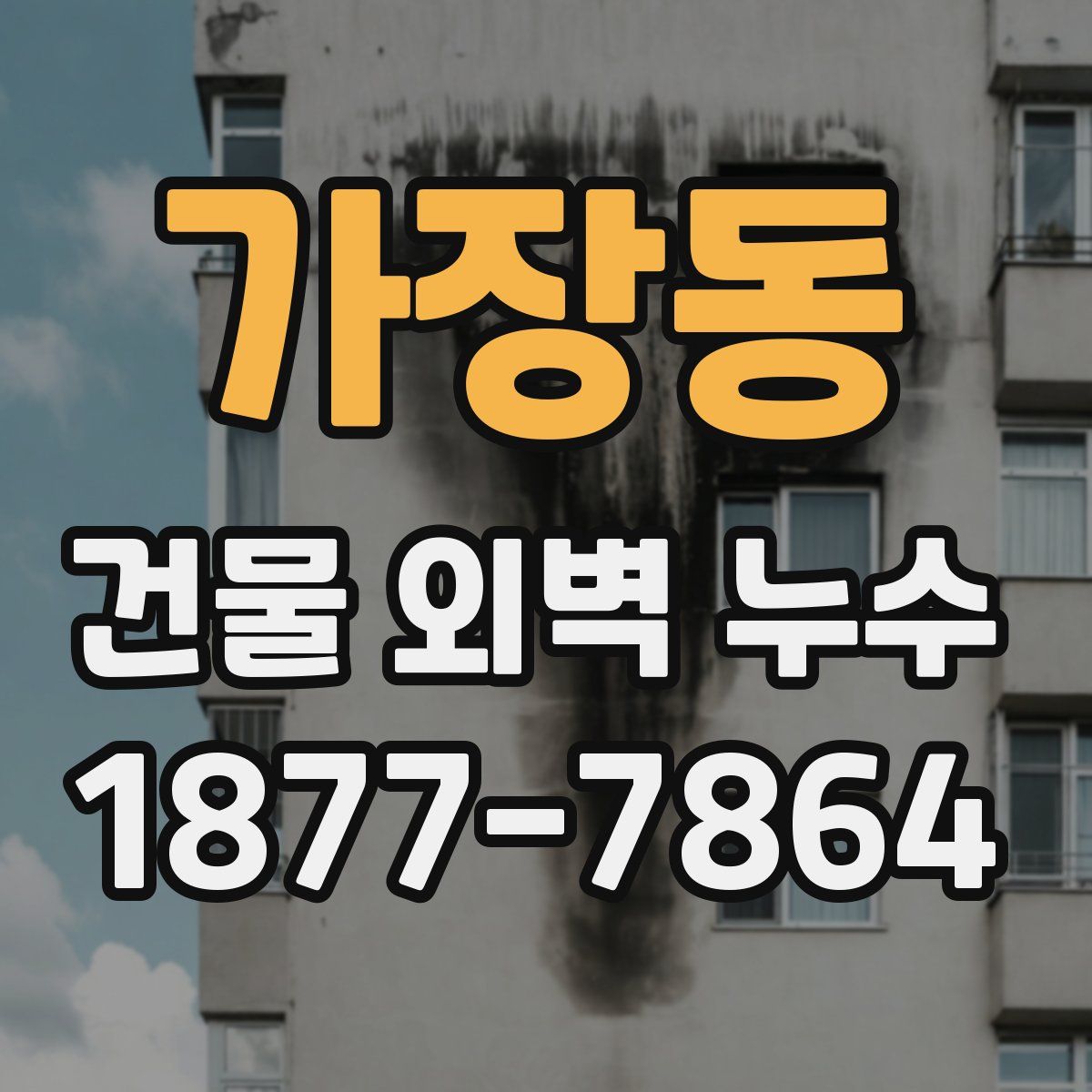 가장동 건물 외벽 누수
