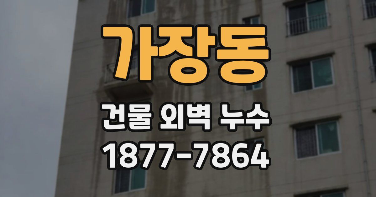 가장동 건물 외벽 누수