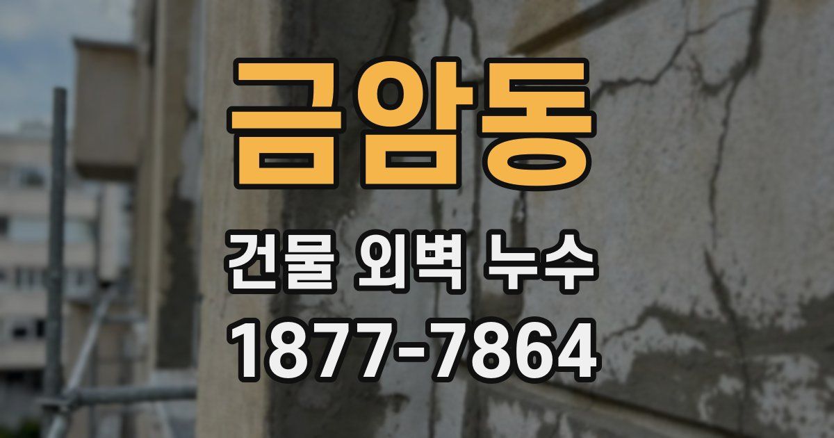 금암동 건물 외벽 누수