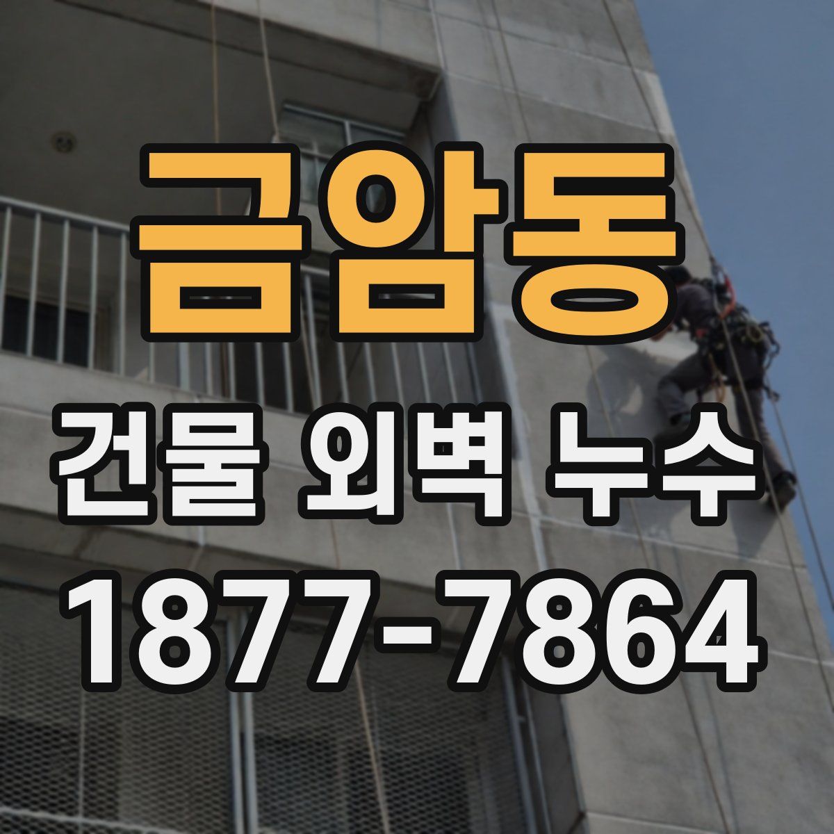 금암동 건물 외벽 누수