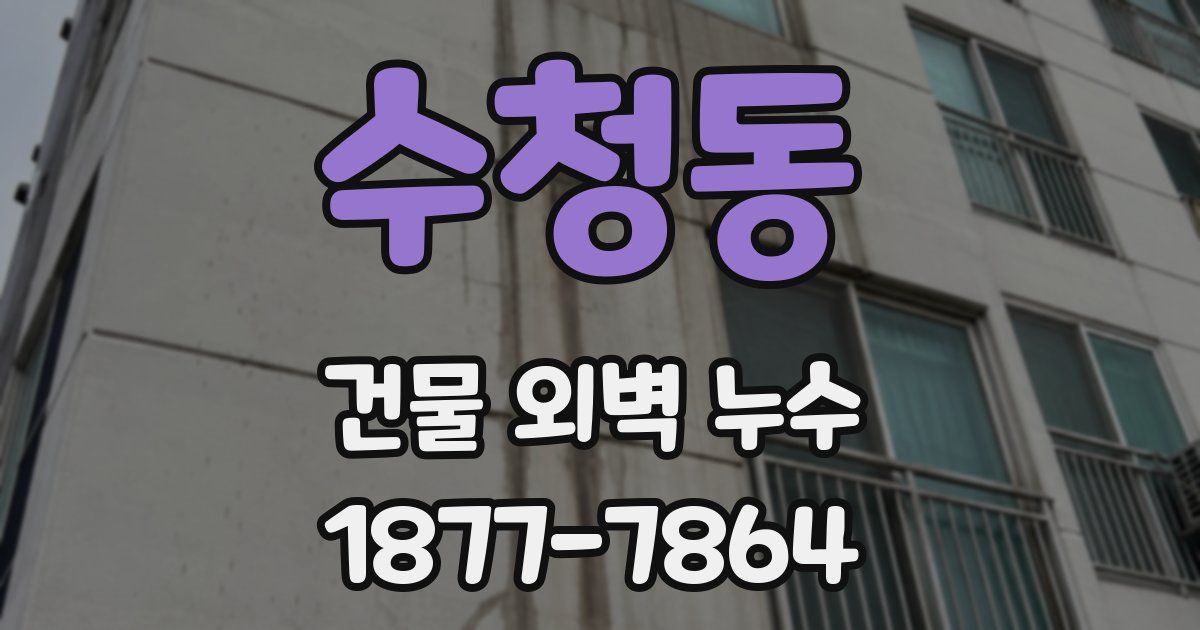 수청동 건물 외벽 누수