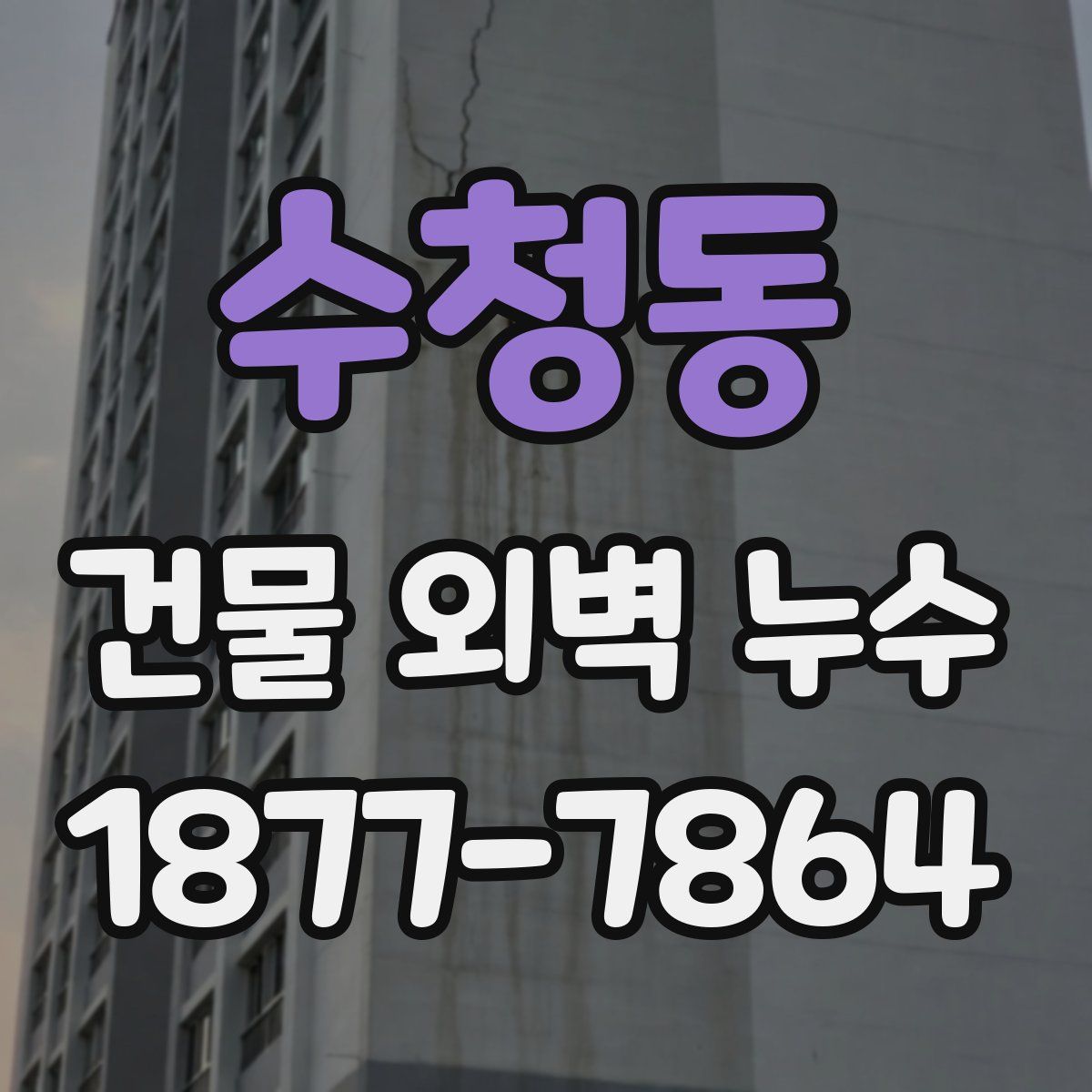수청동 건물 외벽 누수