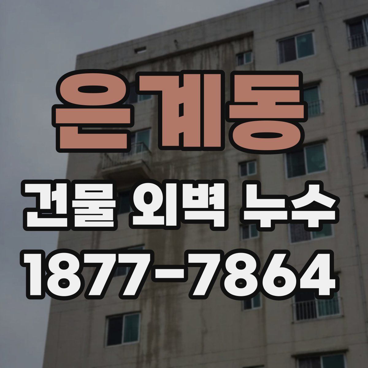 은계동 건물 외벽 누수