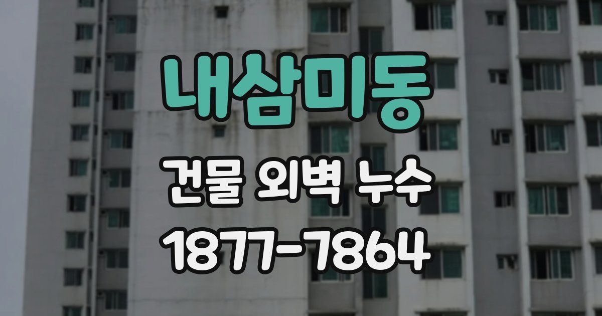 내삼미동 건물 외벽 누수