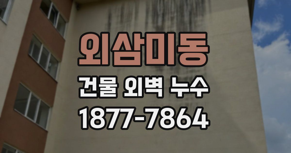외삼미동 건물 외벽 누수