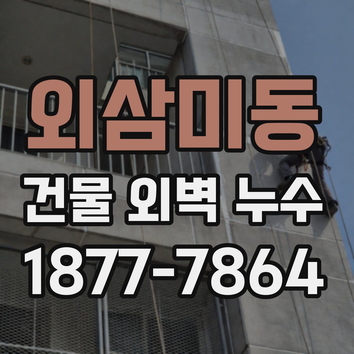 외삼미동 건물 외벽 누수
