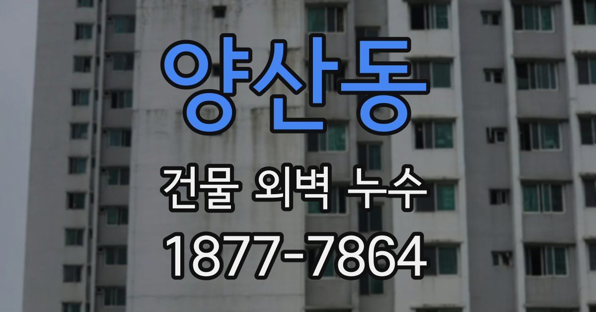 양산동 건물 외벽 누수