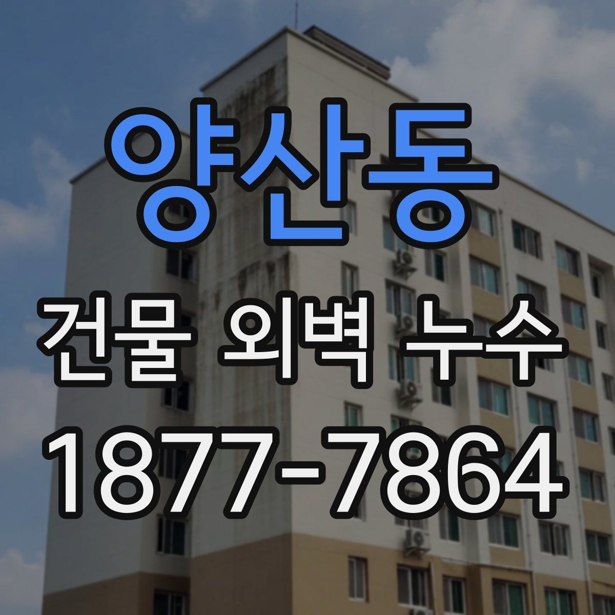 양산동 건물 외벽 누수