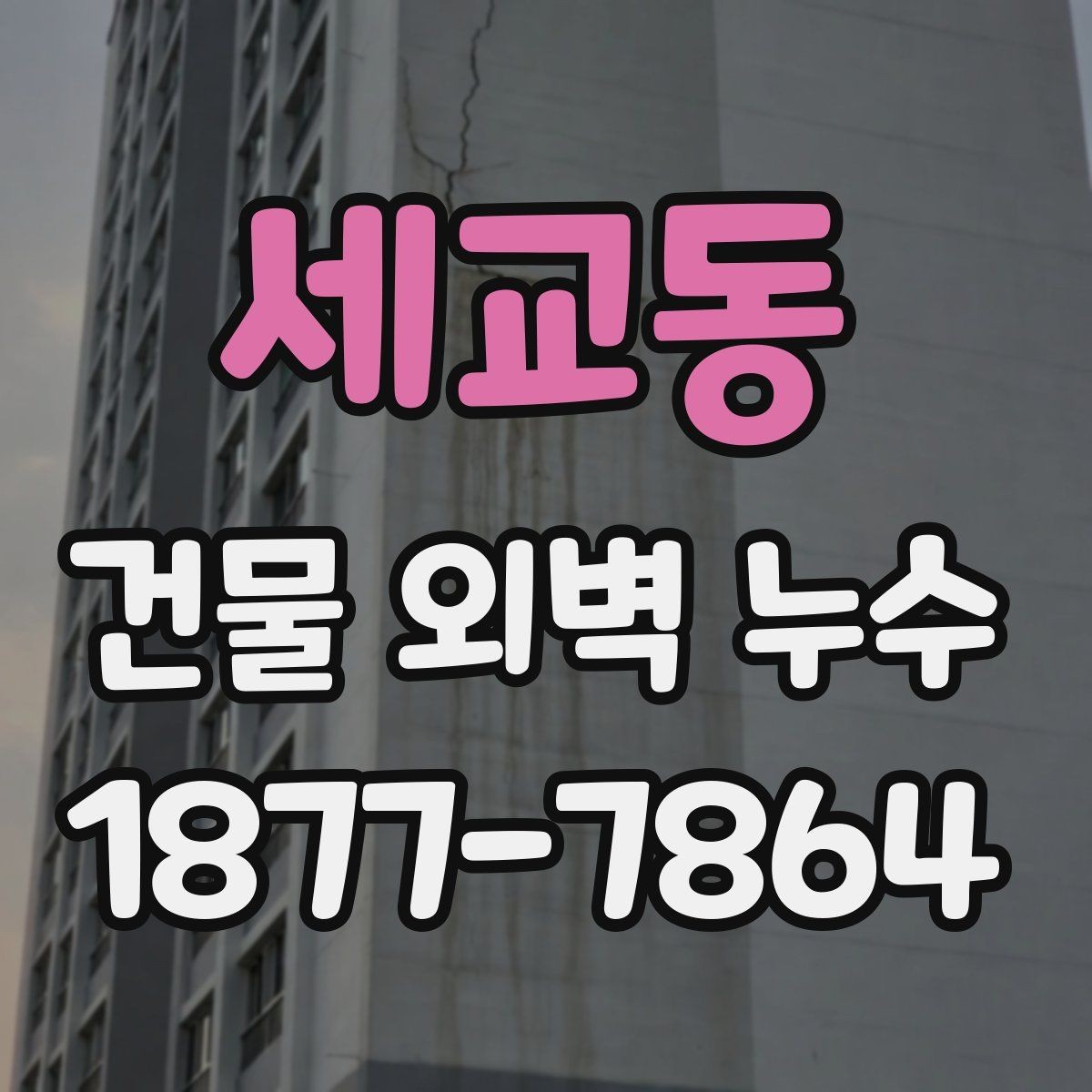 세교동 건물 외벽 누수 발생 구간별 수리 접근