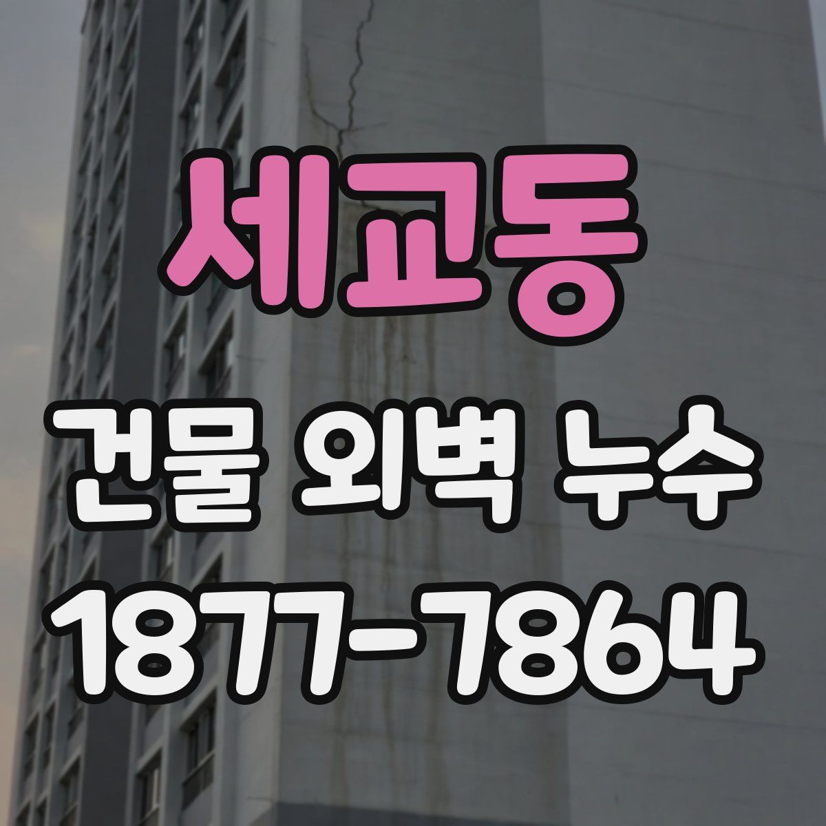 세교동 건물 외벽 누수