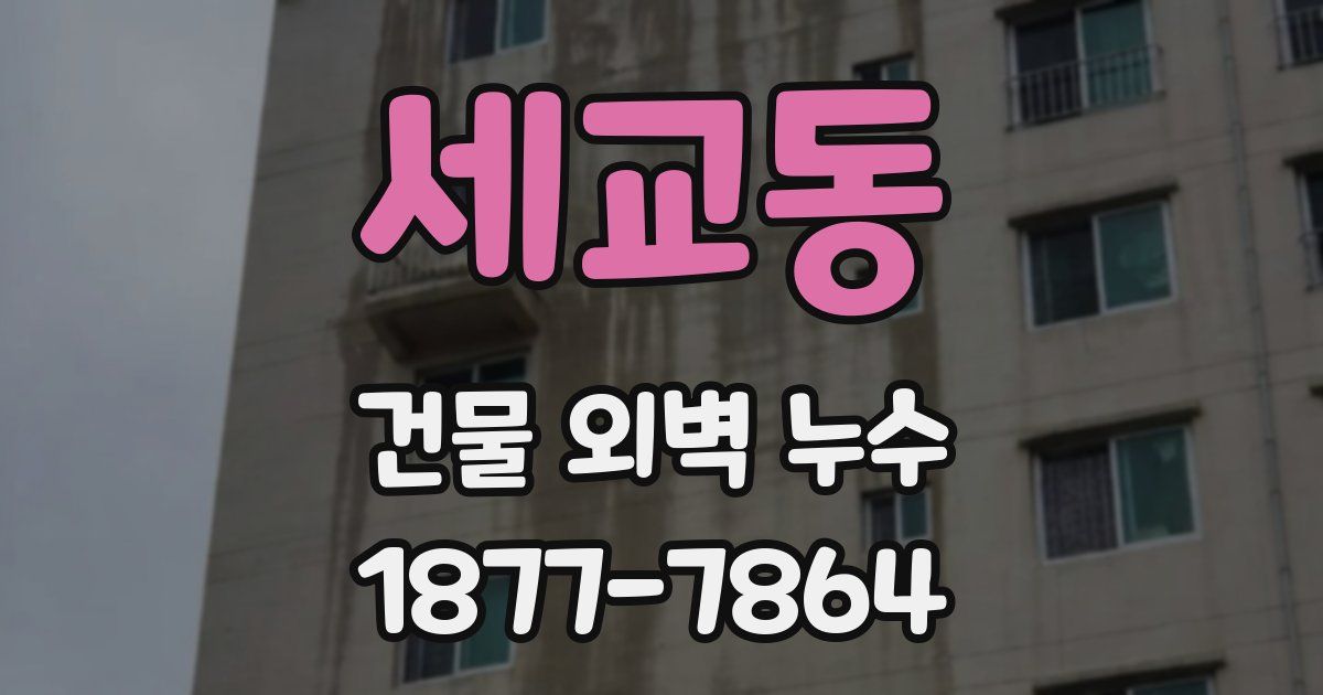 세교동 건물 외벽 누수