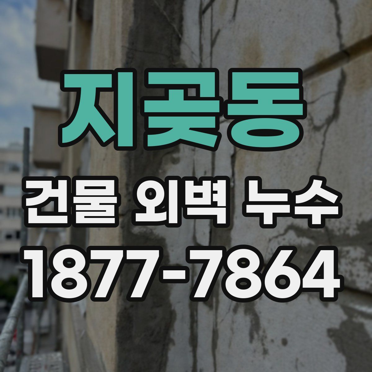 지곶동 건물 외벽 누수